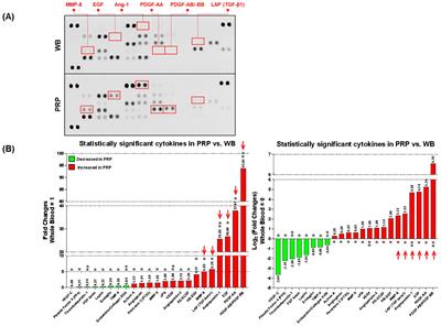 Angiogenic factor-driven improvement of refractory thin endometrium with autologous platelet-rich plasma intrauterine infusion in frozen embryo transfer cycles